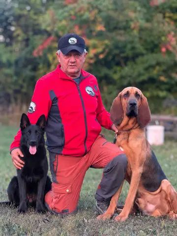 Călin, Zirko & Ivo