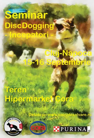 Seminar DiscDogging pentru incepatori