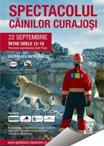 Spectacolul Cainilor Curajosi