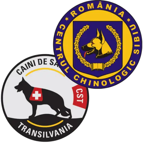 Cooperation Protocol on Developing Rescue Operations Using Service Dogs