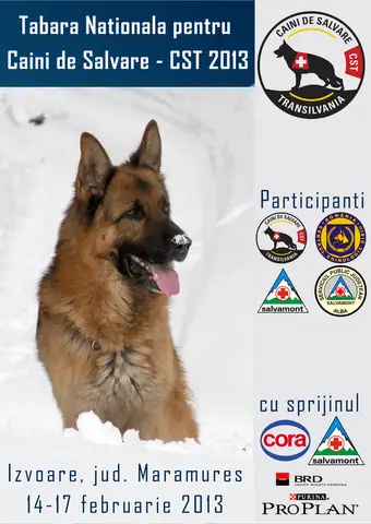 National Training Camp for Search and Rescue Dogs – CST 2013