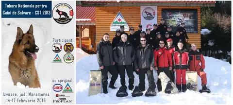 National Training Camp for Search and Rescue Dogs – CST 2013