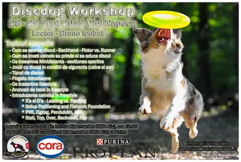DiscDog Workshop Cluj-Napoca 28-29 Sept. 2013