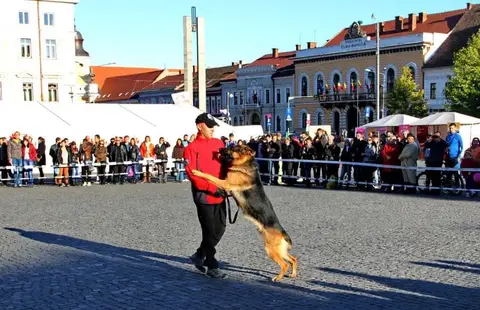 Herbst Fest 2013