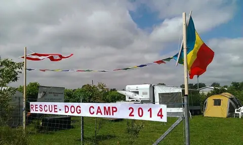 International Rescue Dog Camp 2014