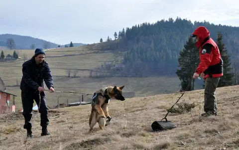 Jurnalul colaborării dintre CST și Centrul Chinologic Sibiu