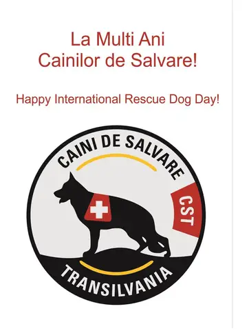 Rescue Dog Day 2017