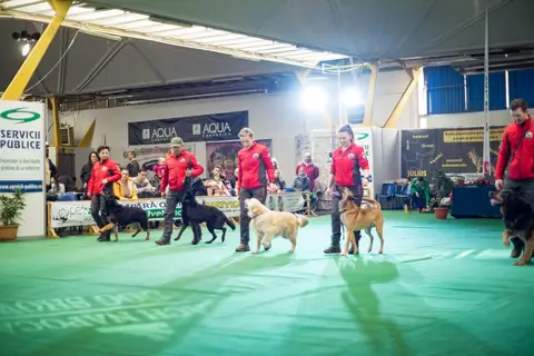 Napoca Dog Show 2018