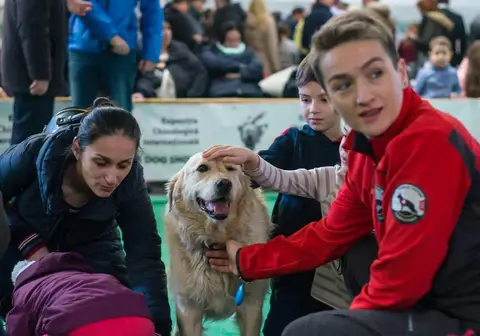 Napoca Dog Show 2018