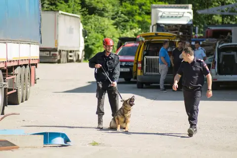 Antrenament comun al cainilor de salvare subordonate IGSU - May 2018