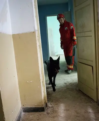 Antrenament comun al cainilor de salvare subordonate IGSU - May 2018
