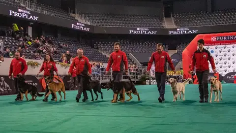 Napoca Dog Show - 16-17 Februarie 2019