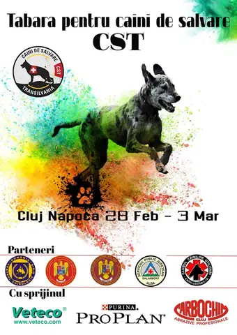 Tabăra Națională pentru câini de salvare - CST Februarie 2019