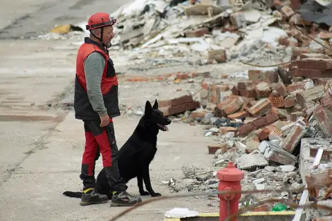 International Volunteer Day