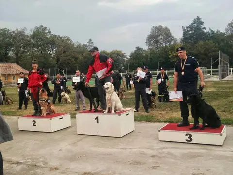 M.A.I. Service Dog Training Championship - "Dr. Aurel Greblea" Canine Training Center in Sibiu