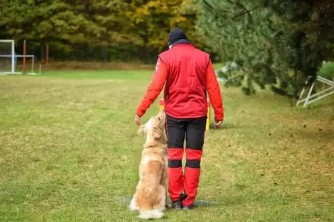 IRO Search Dog Exam, Rzeszów, Poland, 15-16 Oct 2021