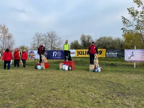 IRO Test, 5-7 November, Zsámbék, Szomor, Soroksár (Hungary)