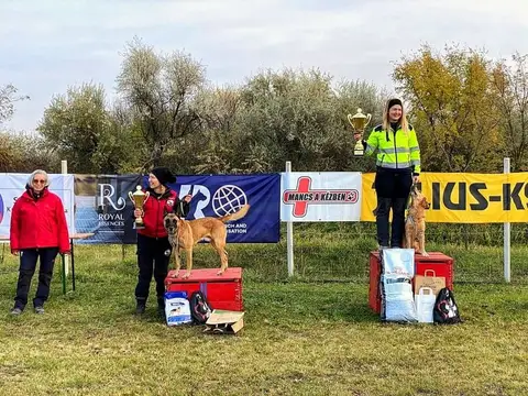 IRO Test, 5-7 November, Zsámbék, Szomor, Soroksár (Hungary)