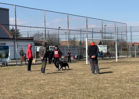 BH Exam - Cupa Mureș, March 2022