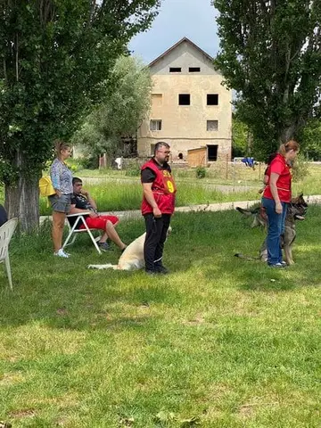 BH Exam - National I.G.P. Championship of the National German Shepherd Dog Club Association, Sfântu Gheorghe, May 2022