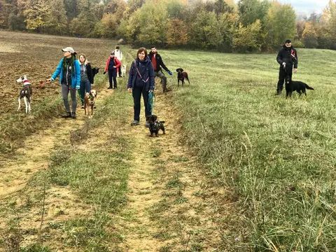 Stagiu Mantrailing Szilvasvarad 29 oct-1 nov 2022