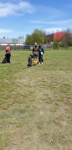 Examen BH, Sf. Gheorghe Aprilie 2023