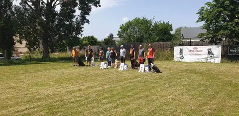 BH Exam, Sf. Gheorghe, 24 June
