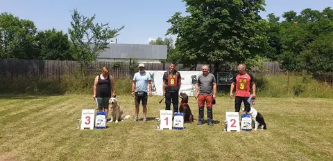 BH Exam, Sf. Gheorghe, 24 June