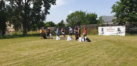 BH Exam, Sf. Gheorghe, 24 June