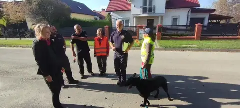 International IRO Test, Rzeszów, Poland