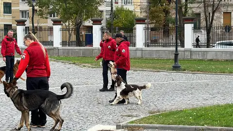 Zilele Prevenirii Dezastrelor