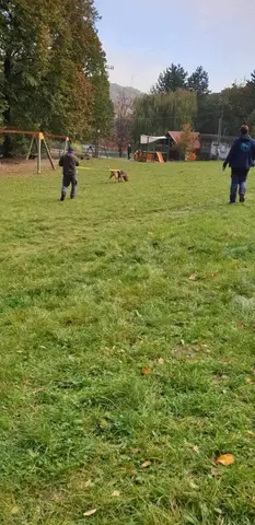 Stagiu mantrailing, Eger, Ungaria