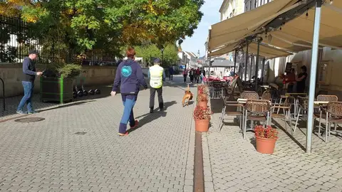 Stagiu mantrailing, Eger, Ungaria