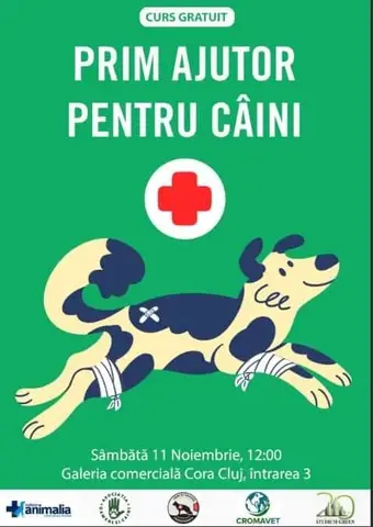 First Aid for Dogs Event