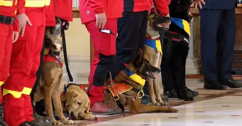 Ceremonie de decorare a echipelor RO-USAR 1 si RO-USAR 2