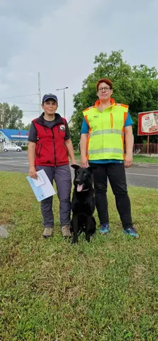 MT3 Mantrailing exam - Debrecen, HU