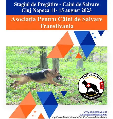 CST Search and Rescue Dog Training Camp 2023