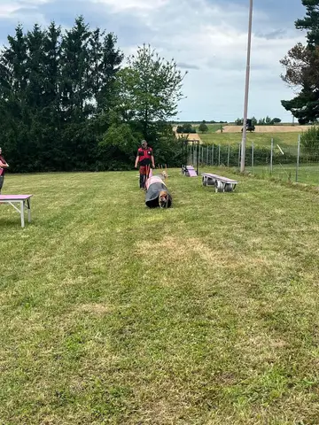 Examen Austria-Oberpullendorf