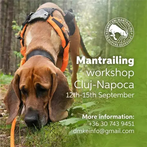 Mantrailing Workshop, Cluj-Napoca