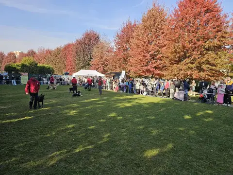 Woofstock 2024