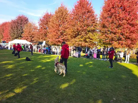 Woofstock 2024