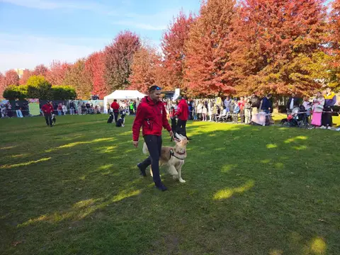 Woofstock 2024