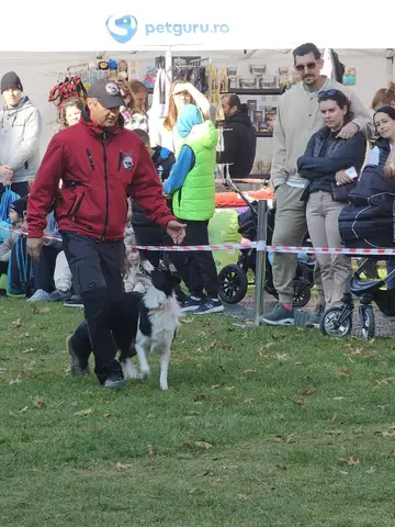 Woofstock 2024