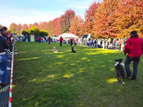 Woofstock 2024