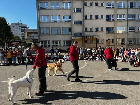 Câinii de salvare la Școala Altfel 2024