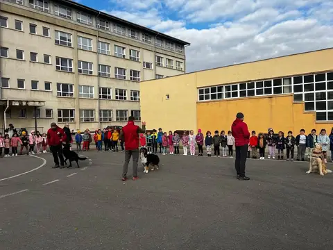 Câinii de salvare la Școala Altfel 2024