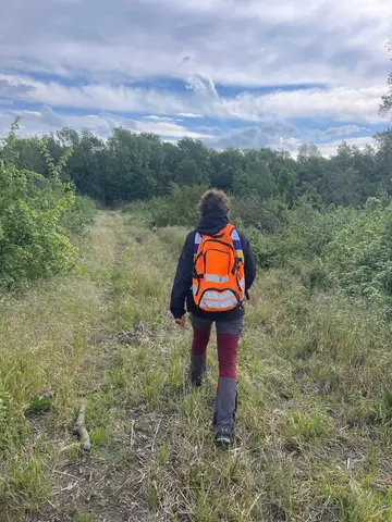 FMBB 2026