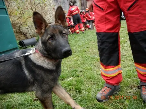 Austria camp – November 2011