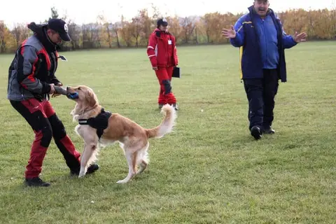 Austria camp – November 2011