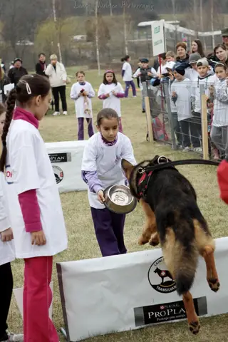 Școala Altfel la cora 2012